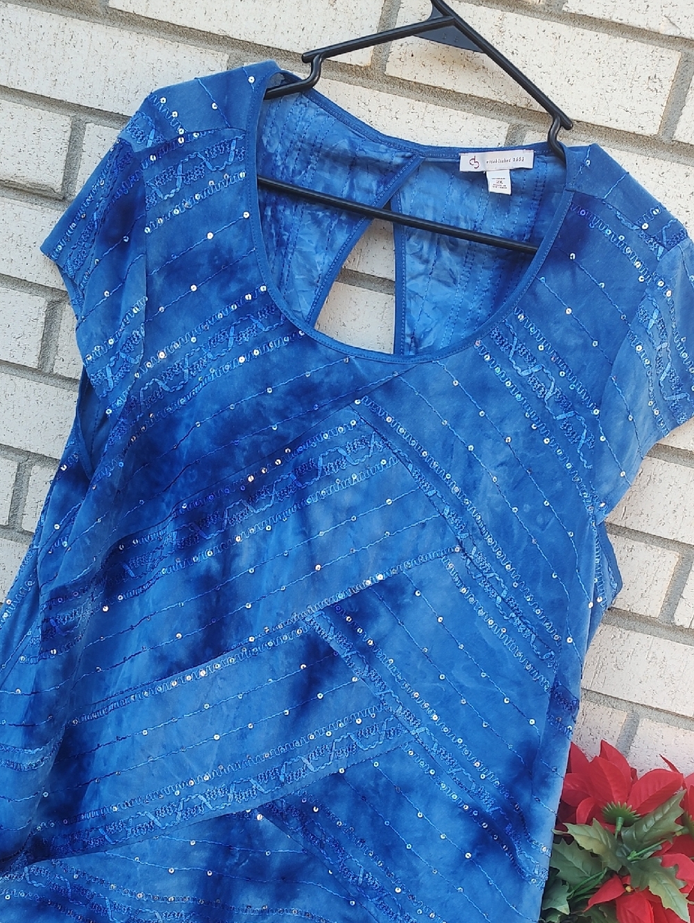 Blue Top* - Picture 5 of 10